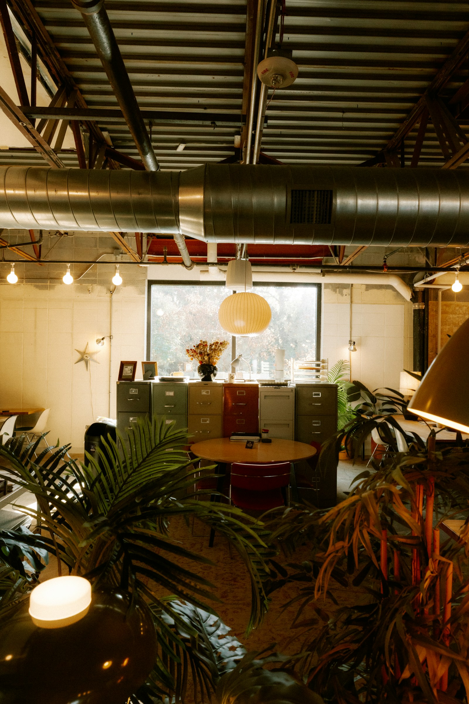 Creative workspace and site styling inspiration with plants and warm light